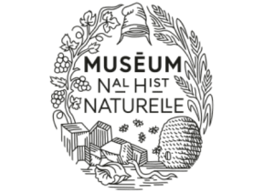 logo-museum