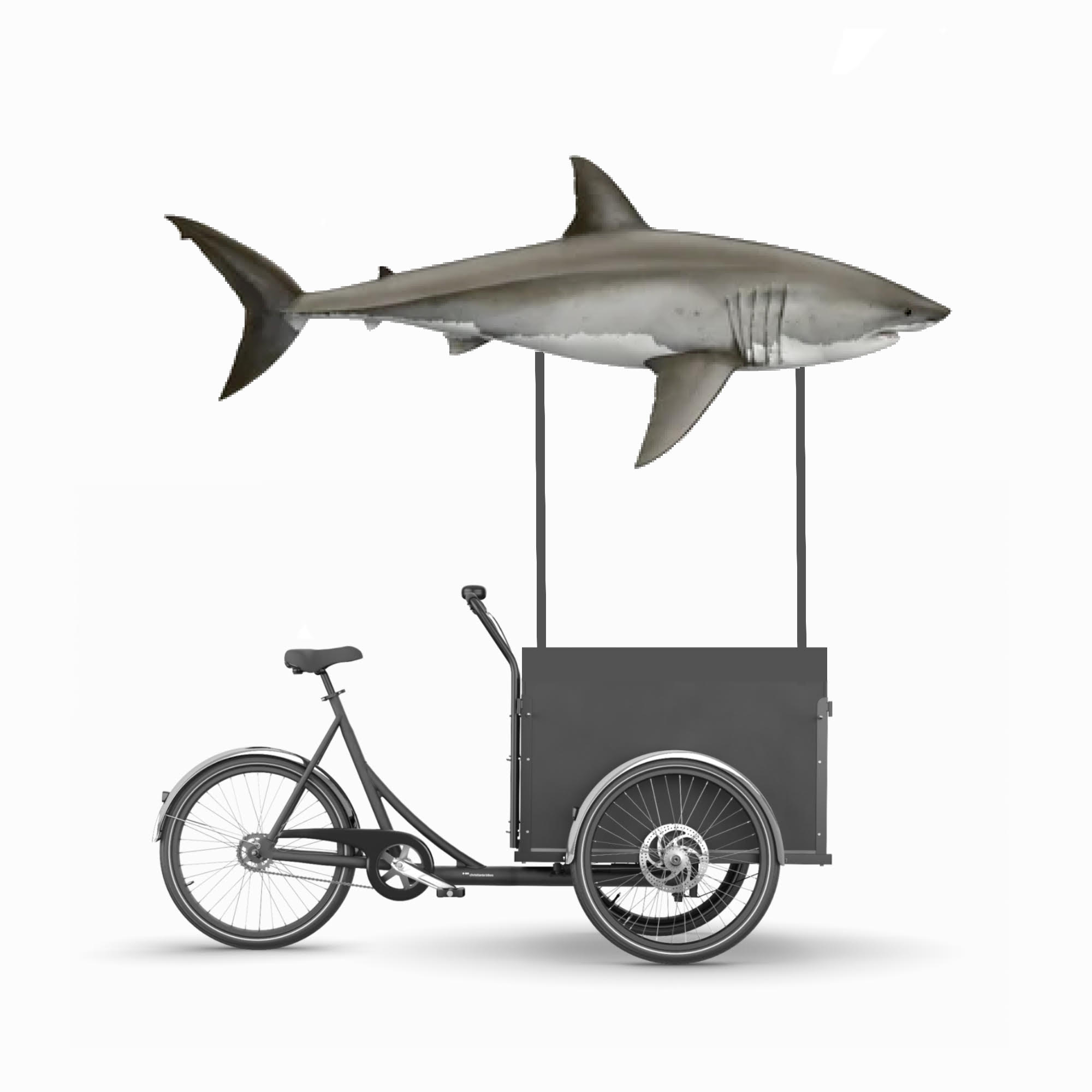 Velo Expo Triporteur Cargo Bike Requin